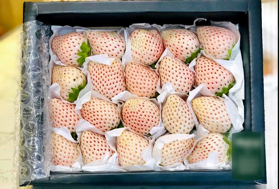Dâu Tây Snow Pink Hàn Quốc