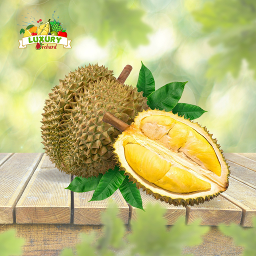 Sầu Riêng Musang King