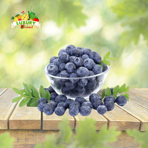 Việt Quất Bleuets Mỹ